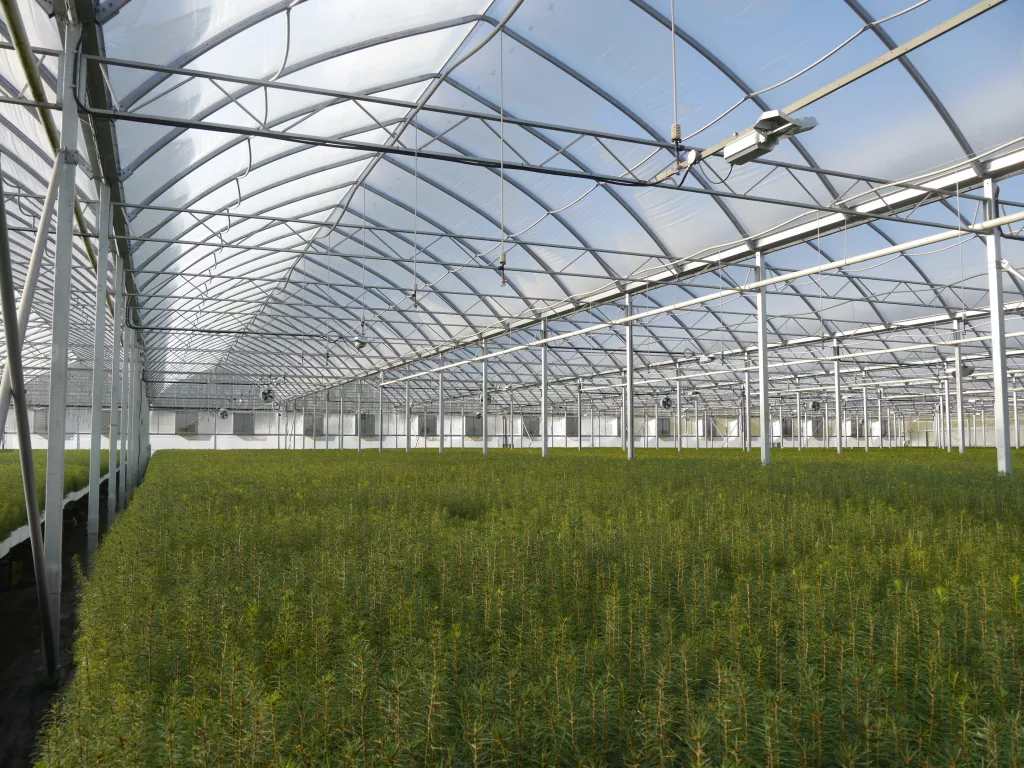 PRT Nursery - High-tech greenhouse systems for tree nurseries