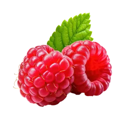 raspberry