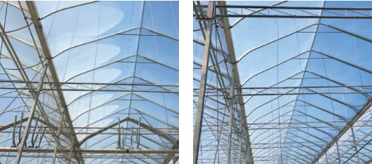 oval tube greenhouse structure - why harnois