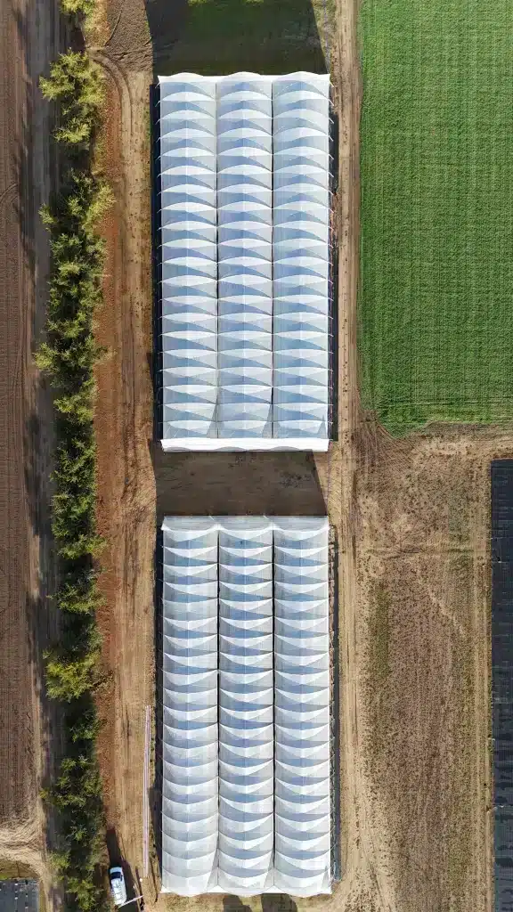 DJI 20251024205925 0014 D