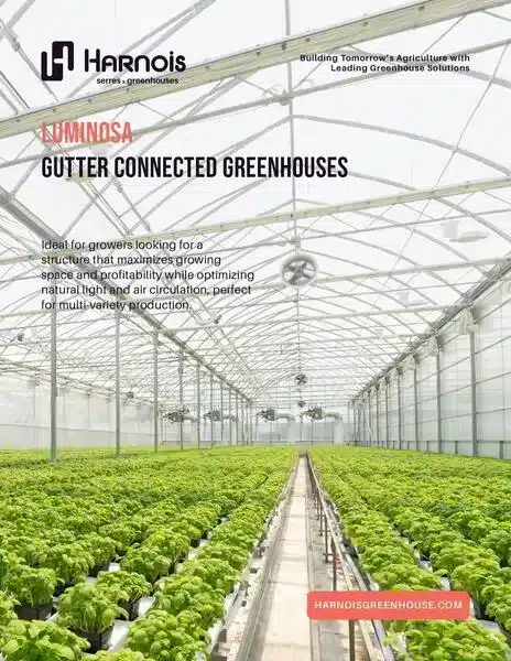 Luminosa gutter-connected greenhouse flyer showing multi-span structure for large-scale commercial growing