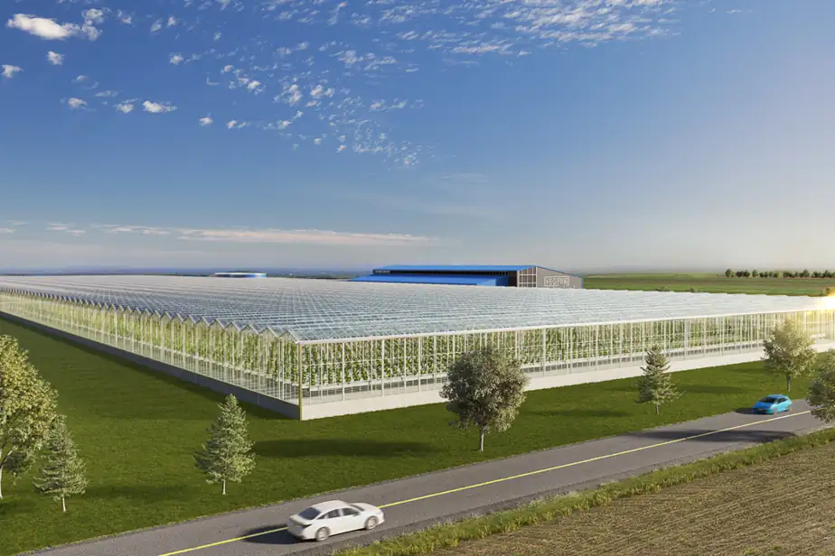 vegpro international - innovative greenhouse - concept