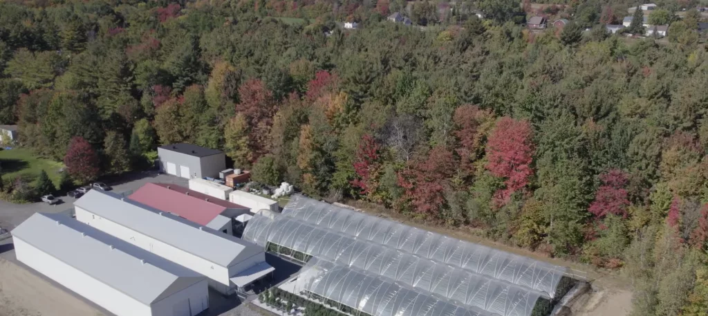 Cannabis High Tunnel - Mauve et Herbes Project 1 Harnois Tunnel Pro Plus cannabis high tunnel greenhouse – Mauve et Herbes, Quebec