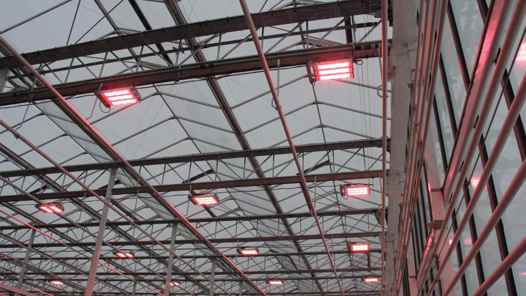 vegpro international - innovative greenhouse - Optimized Lighting