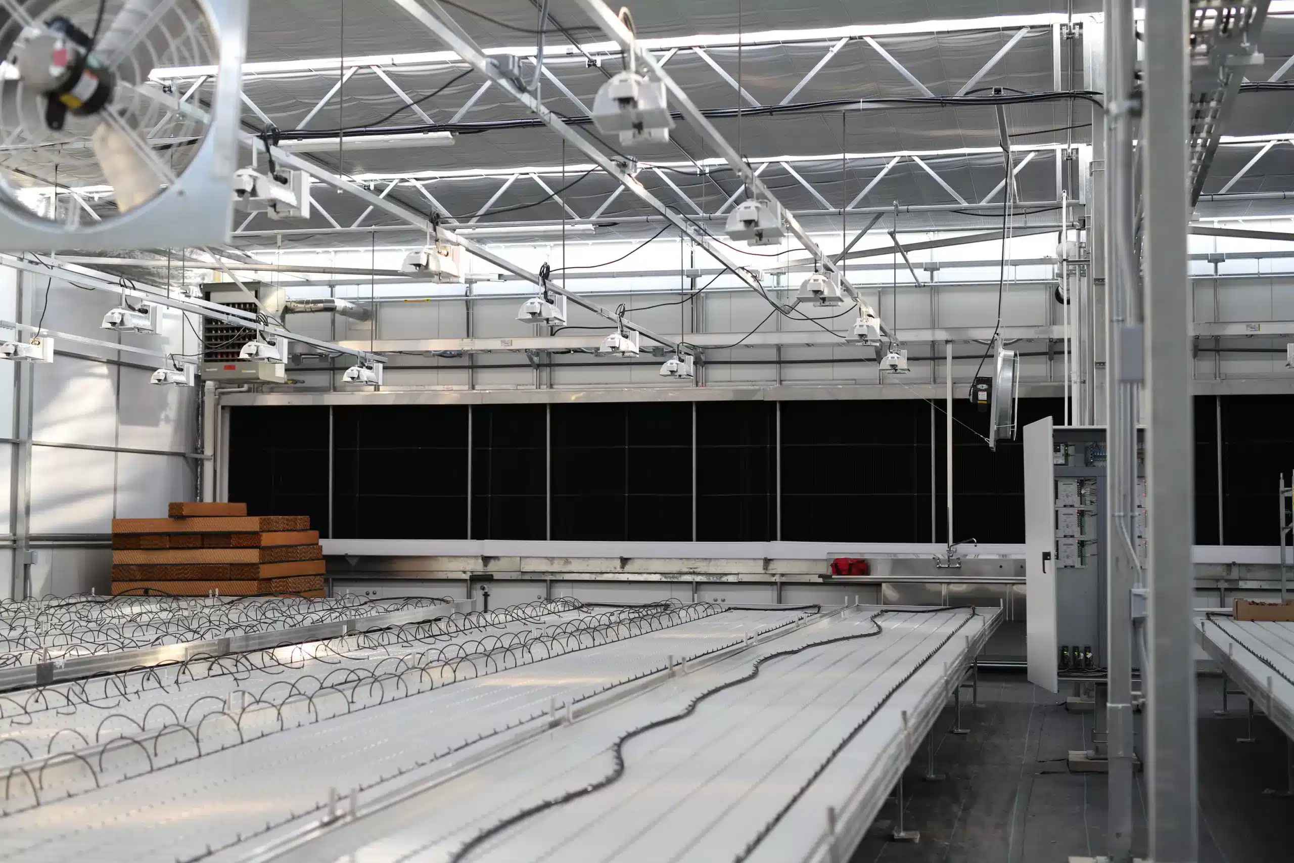 Luminosa_cannabis_technique_tables_murets_phymed_BC_2019_