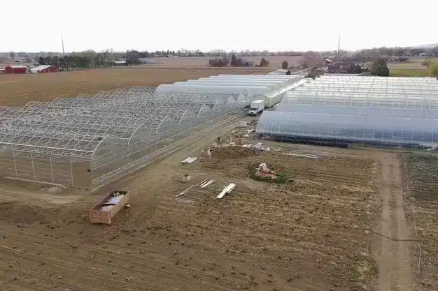 gouttière installée au ColoradoLuminosa gutter-connected commercial greenhouse installed in Colorado