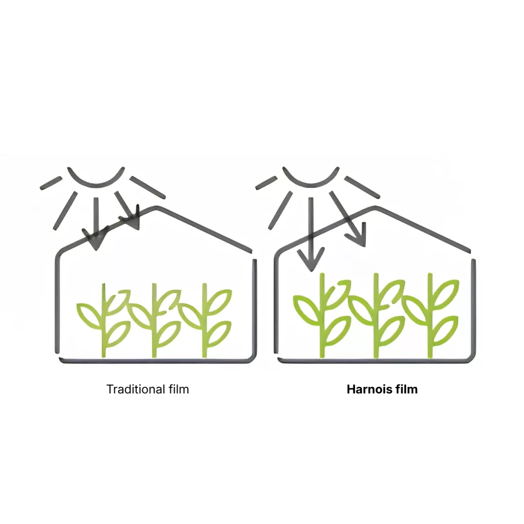 greenhouse poly film - more light transmission