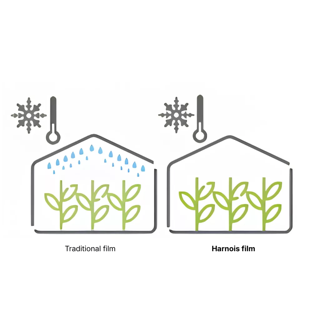 greenhouse poly film - low temperature