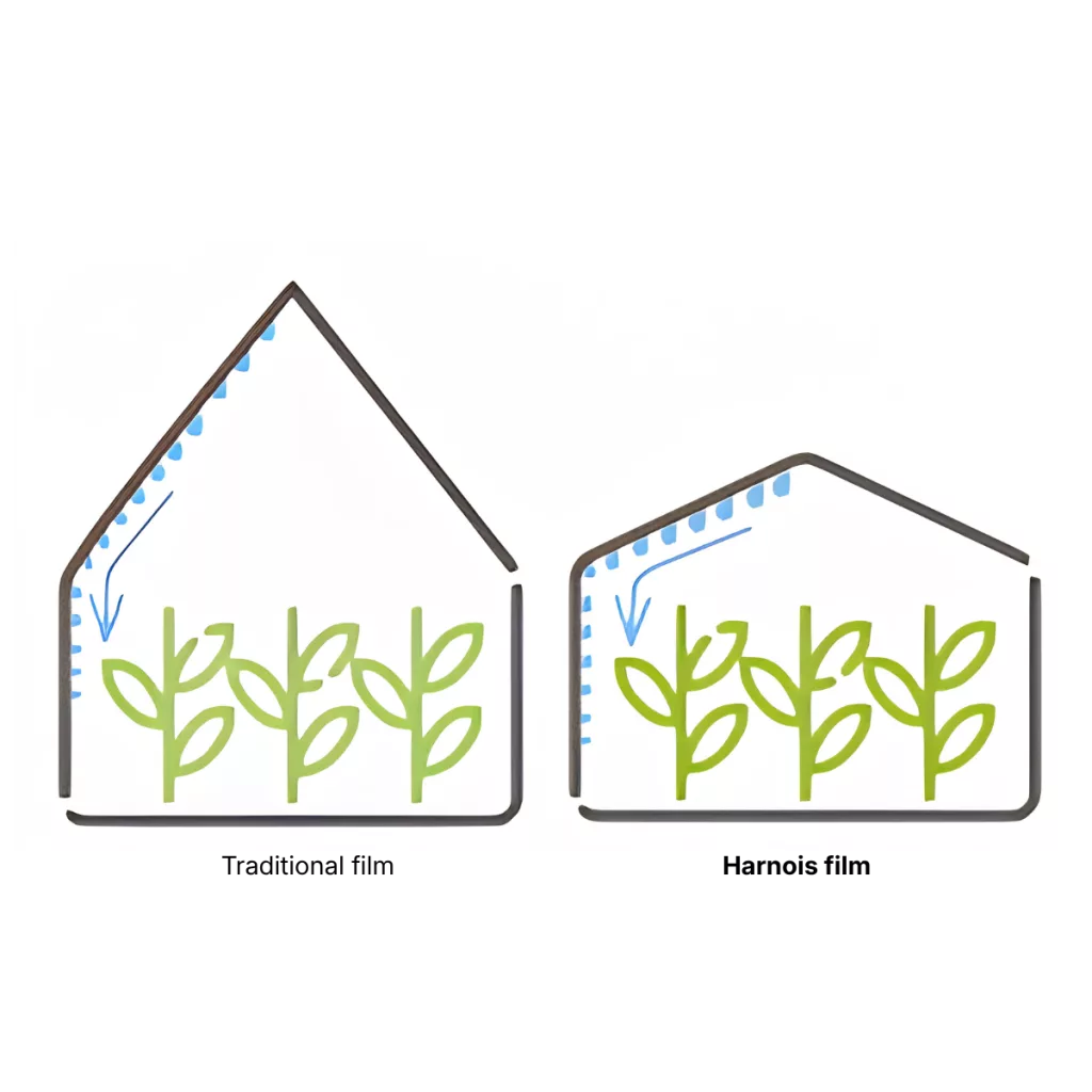 greenhouse poly film - lower slopes