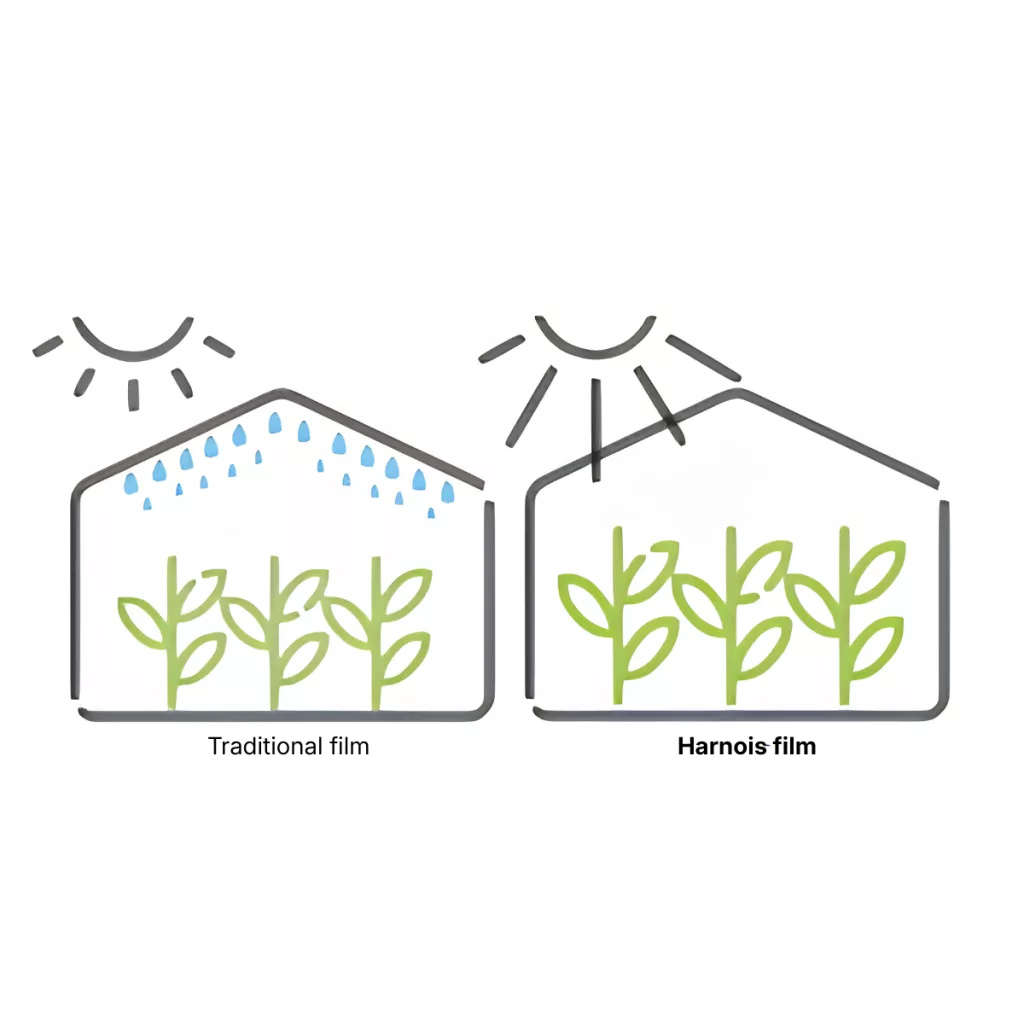 greenhouse poly film - anti-drip treatment
