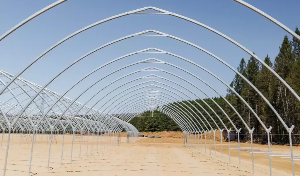 high tunnel for tree seedlings