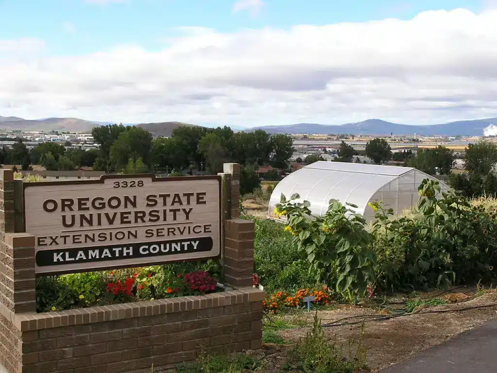 Oregon State University