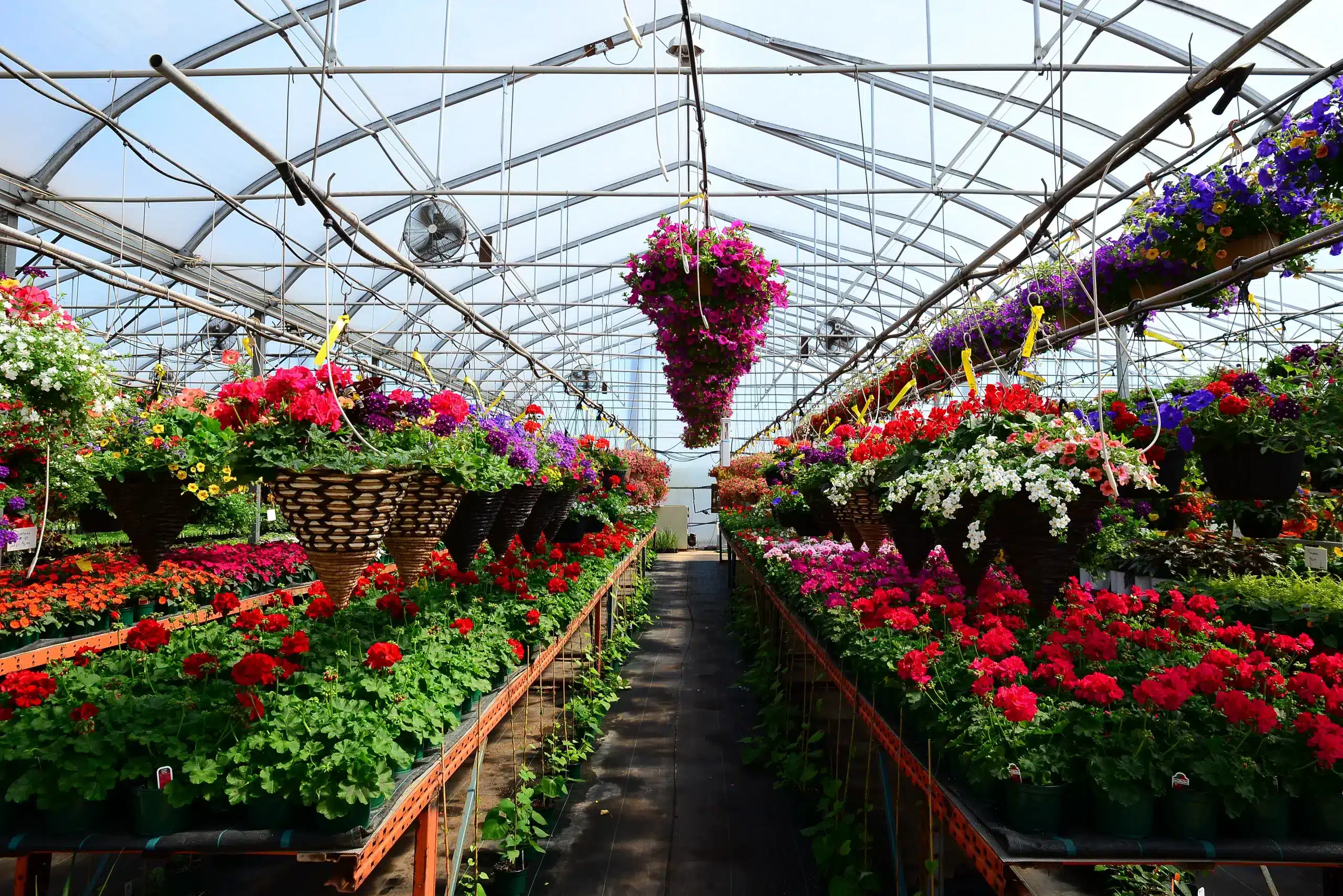 Ovaltech - freestanding retail greenhouse for garden centers