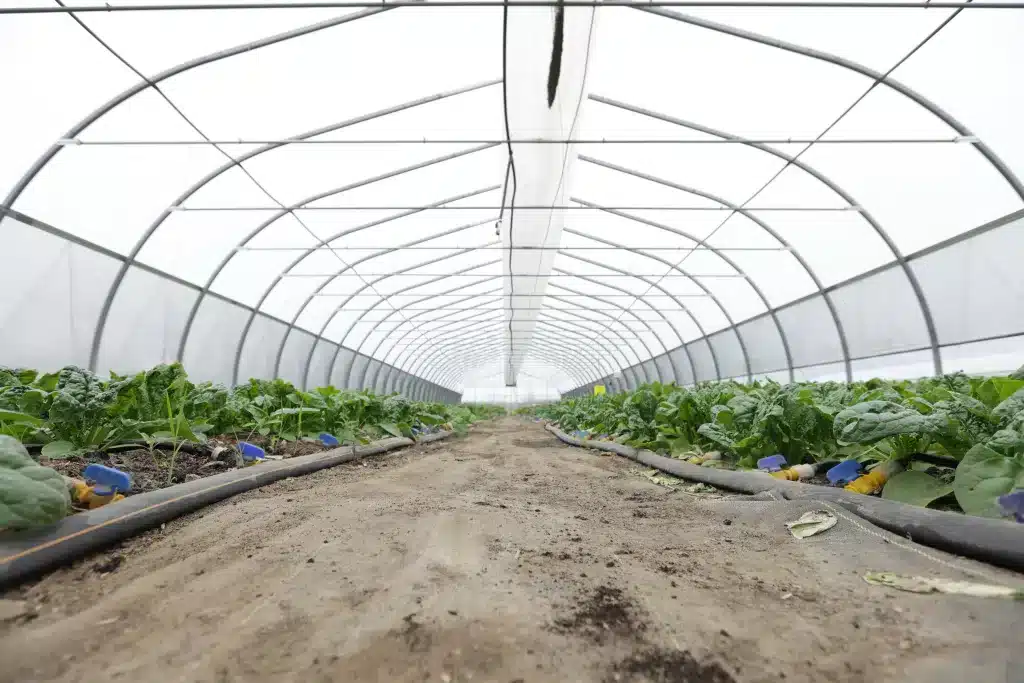 Ferme chapeau melon - culture au sol - serre individuelle