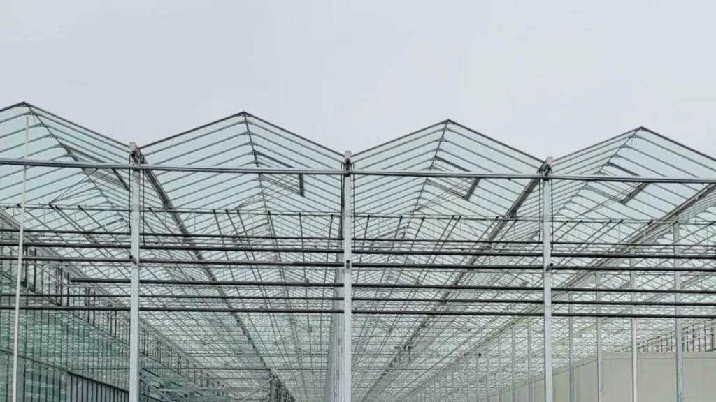 greenhouse glass covering for Harnois' vermax model