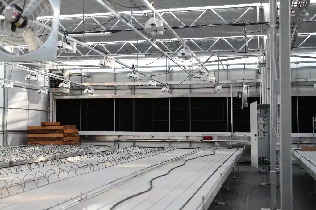 Luminosa cannabis technique tables murets phymed BC 2019