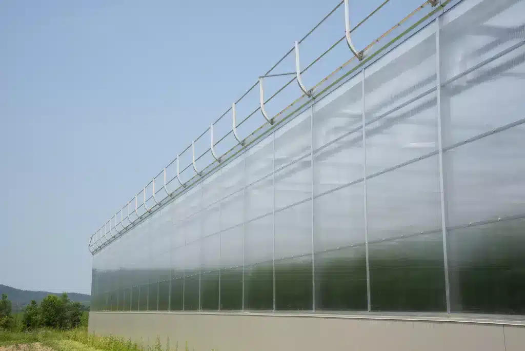 gutter connected greenhouse covered by Polycarbonate Sheets on the side walls
