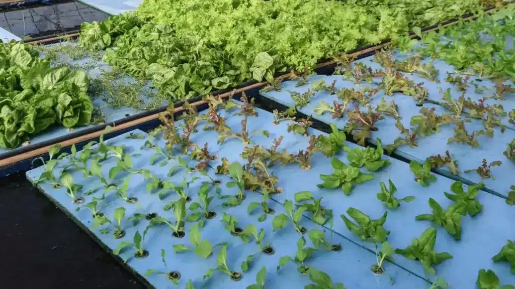 Systeme flottant