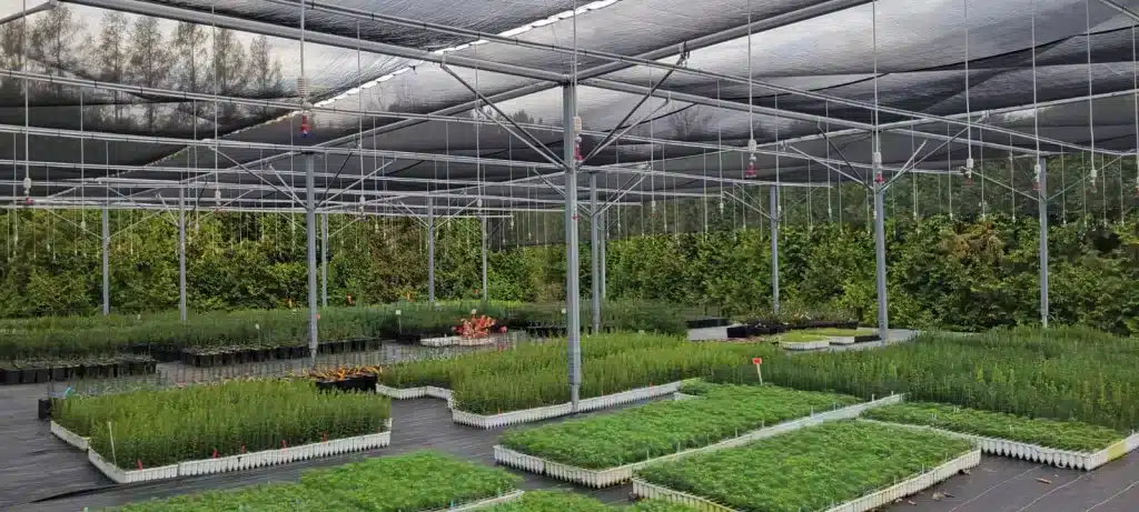 Shade House for young plants at Kingsclear Tree Nursery