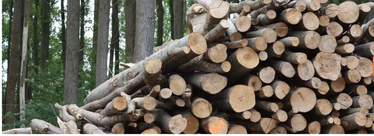 1920X700-photo-cover-article-Harnois-serres-energie-renouvelable