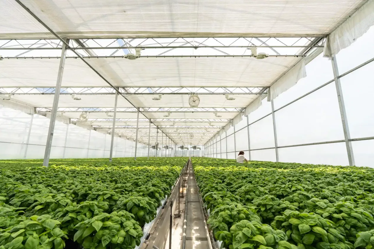 Alberta Growing Greenhouses Program