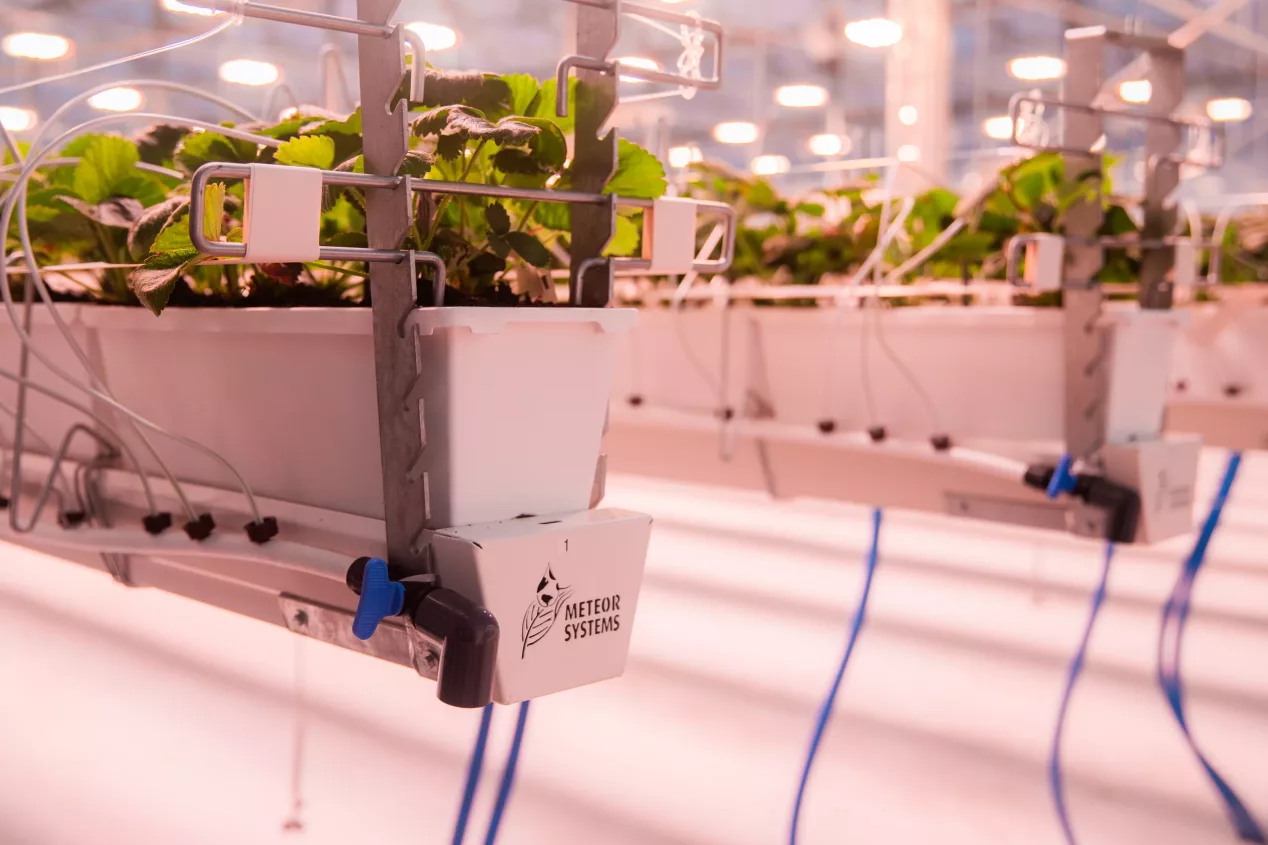 implementing fertigation systems