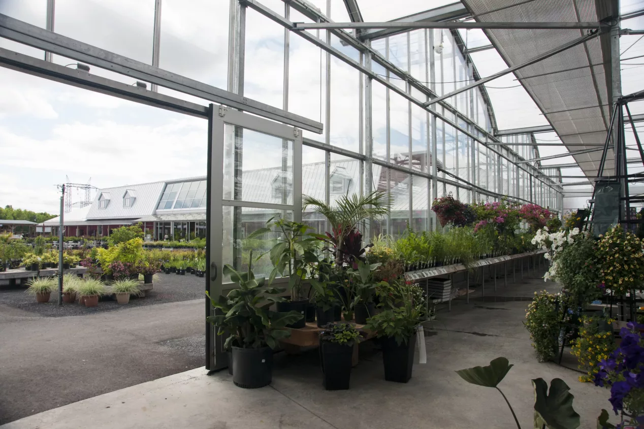 commercial greenhouse cost