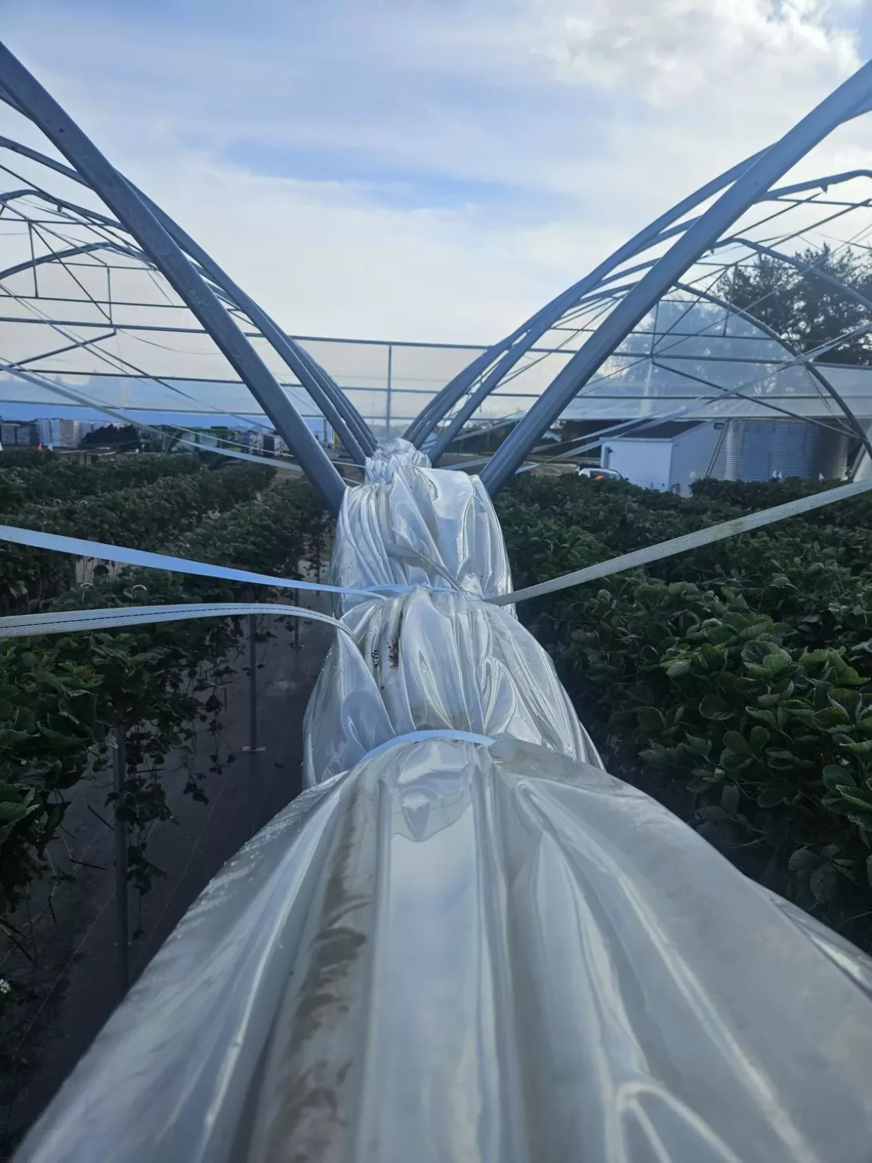 How to winterize a high tunnel structure