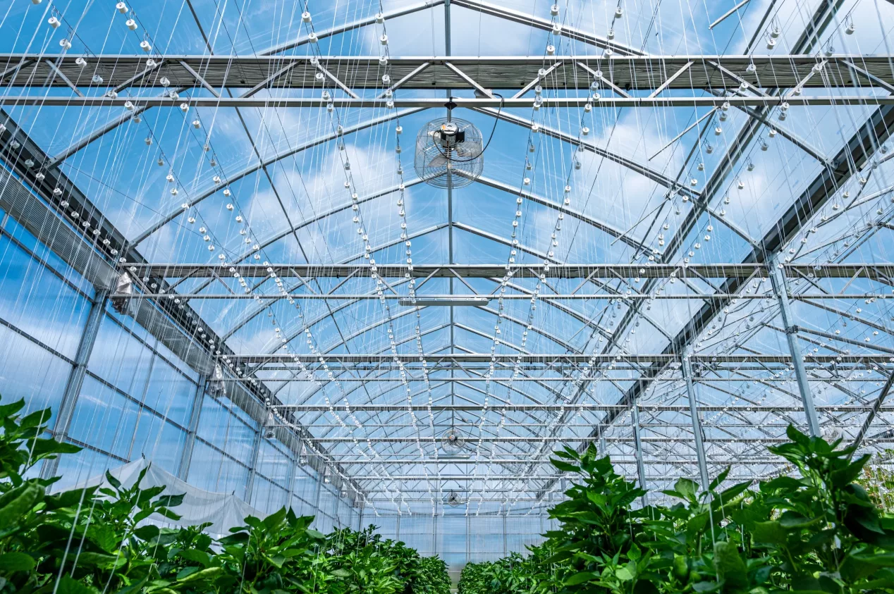 Commercial Greenhouse Solutions