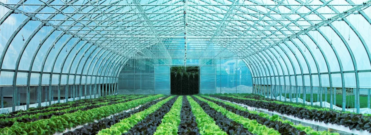 commercial_greenhouse_oregon_grant